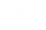 netfly-2